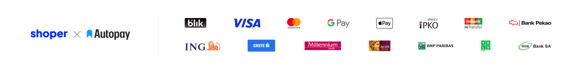 Dostępne metody płatności online: BLIK, przelewy bankowe oraz karty Visa i Mastercard